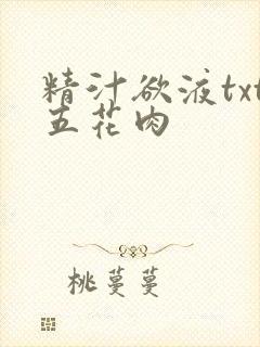 精汁欲液txt五花肉