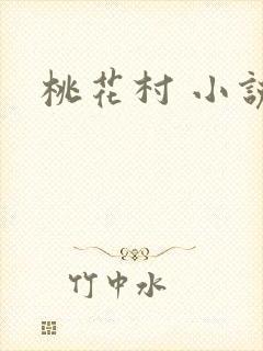桃花村 小说