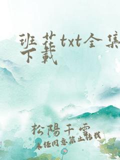 班花txt全集下载
