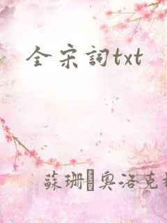 全宋词txt