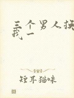 三个男人换着躁我一