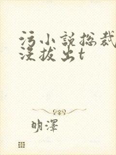 污小说总裁整夜没拔出t