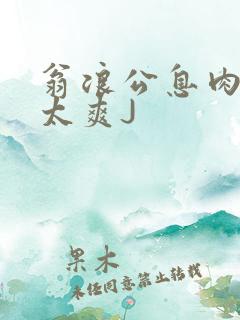 翁浪公息肉吊大太爽J