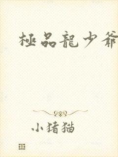 极品龙少爷