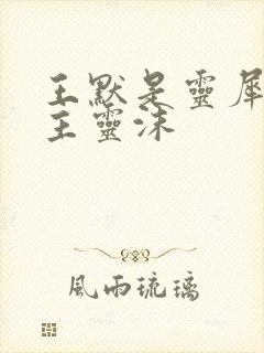 王默是灵犀阁公主灵沫