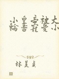 小皇帝被大臣们轮番宠爱小说