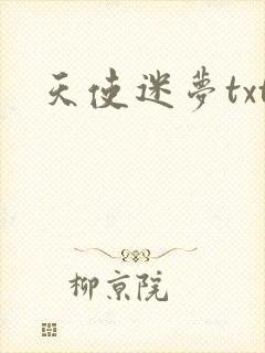 天使迷梦txt