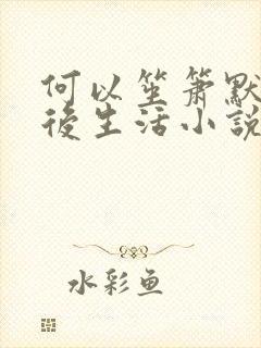 何以笙箫默之婚后生活小说