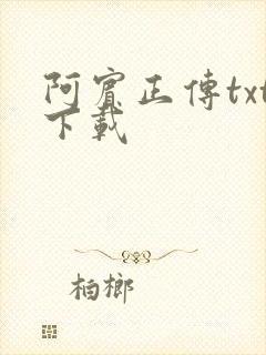阿宾正传txt下载