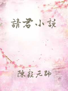 请君小说