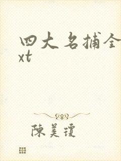 四大名捕全集txt