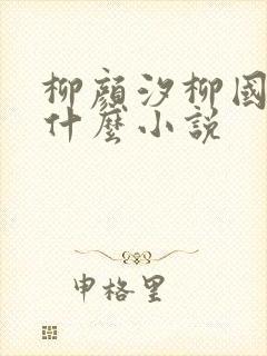 柳颜汐柳国安是什么小说