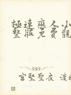 极速恋人小说完整版免费观看