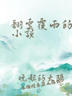 翻云覆雨的秘密小说