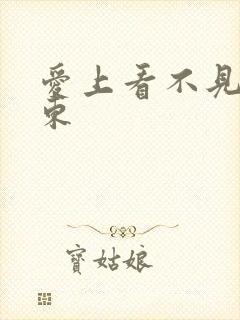 爱上看不见的房东