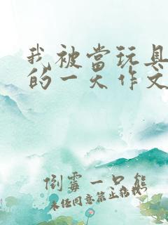 我被当玩具发泄的一天作文