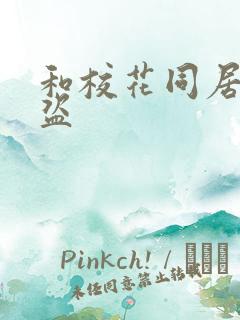 和校花同居的大盗