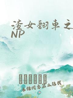 渣女翻车之后 NP