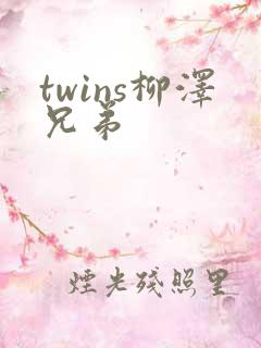 twins柳泽兄弟