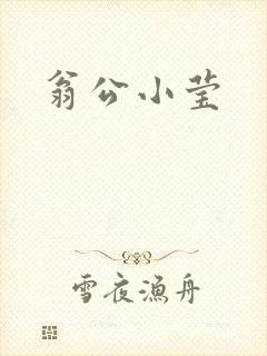 翁公小莹