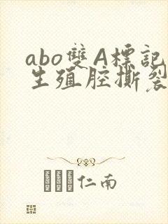 abo双A标记生殖腔撕裂