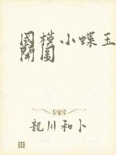 国模小蝶玉门大开图