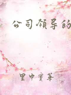 公司领导的老婆