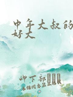 中年大叔的包包好大