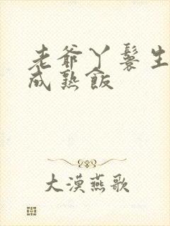 老爷丫鬟生米煮成熟饭