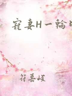 宠妻H一轮明月