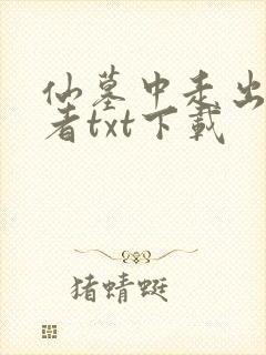 仙墓中走出的强者txt下载