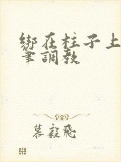 绑在柱子上用毛笔调教