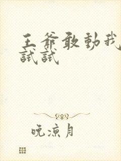 王爷敢动我妈咪试试