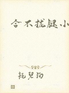 合不拢腿小说