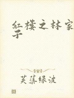 红楼之林家庶长子