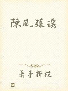 陈风张瑶