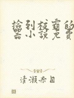 捡到校霸的遥控器小说免费阅读无弹窗