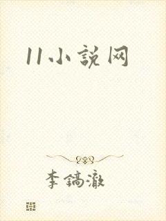 11小说网