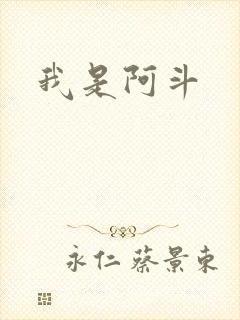 我是阿斗