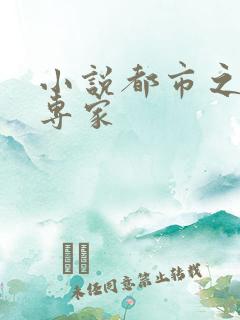 小说都市之军火专家