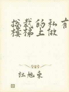 总裁的私有宝贝楼梯上做