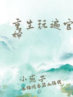 重生玩遍官场贵妇