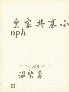 皇家共享小公主nph