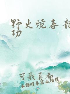 野火烧春 龙鸣功