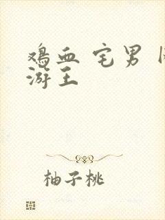 鸡血 宅男 网游王