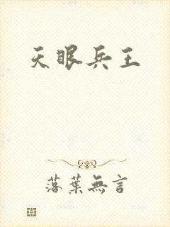 天眼兵王