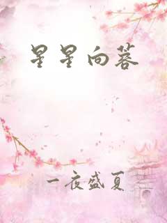 星星向蓉