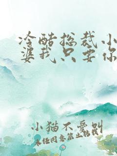 冷酷总裁小小老婆我只要你