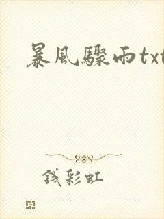 暴风骤雨txt