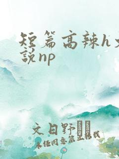 短篇高辣h文小说np
